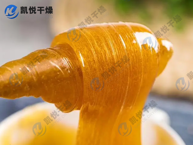 麥芽糖流化床干燥機(jī)(山東XX生物)