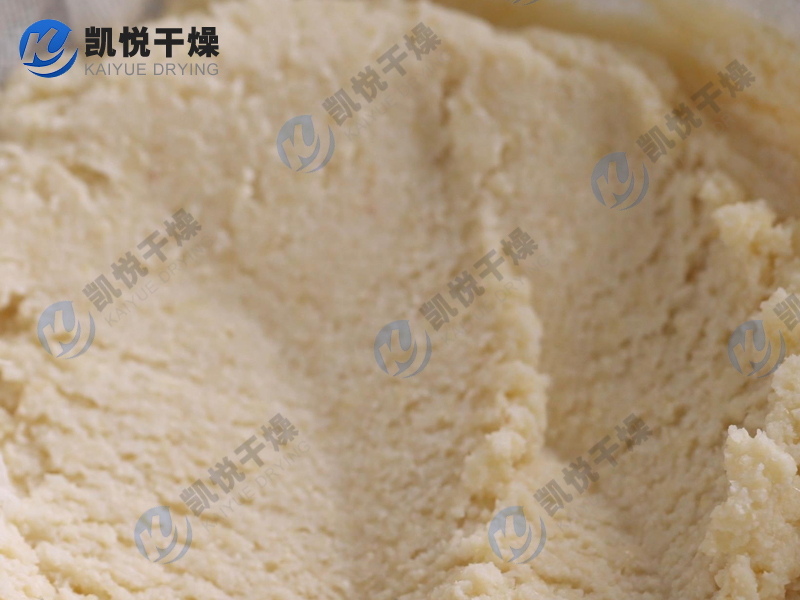 豆渣閃蒸干燥機(jī)(安徽XX豆制品)