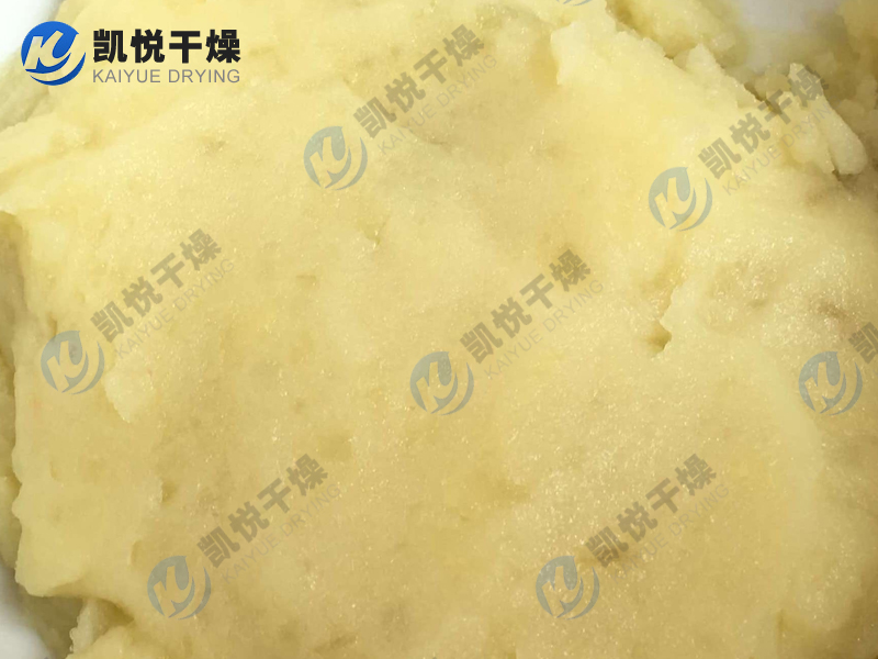 土豆蛋白、豌豆蛋白閃蒸干燥機(jī)(寧夏固原XX淀粉)