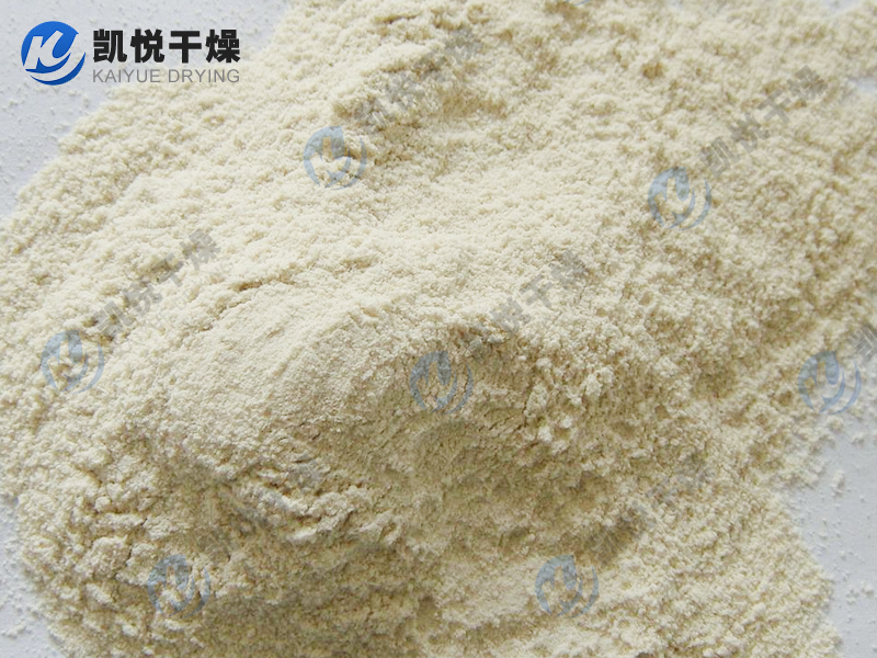 泛酸鈣真空耙式干燥機(jī)(安徽XX生物)