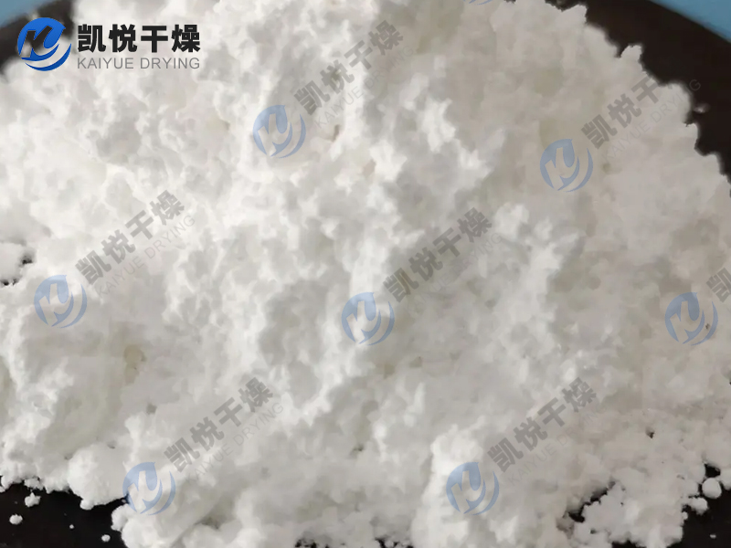 碳酸鋰盤式干燥機(jī)