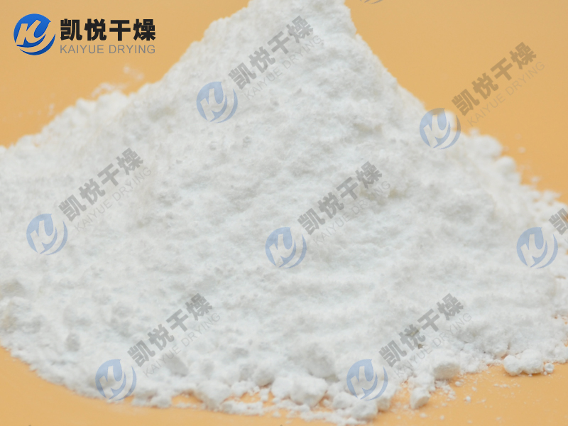 乳酸鈣單錐真空干燥機(jī)