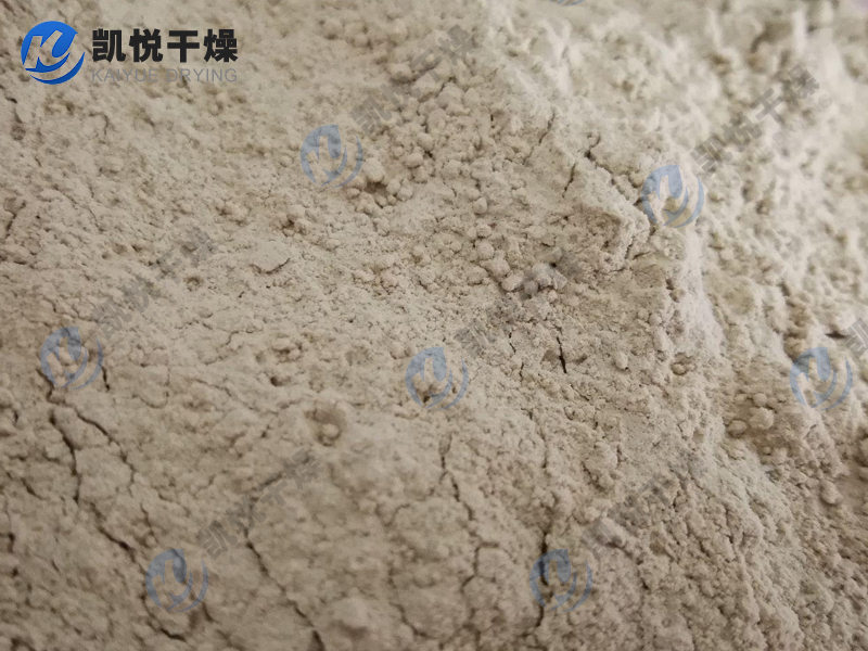 中藥配方顆粒噴霧干燥機(jī)